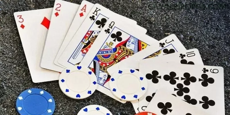cavaleiropg multi dispositivo
